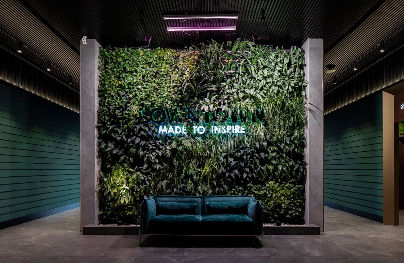 photo of a selfie of a wall decorated with living plants with a soft sofa for relaxation